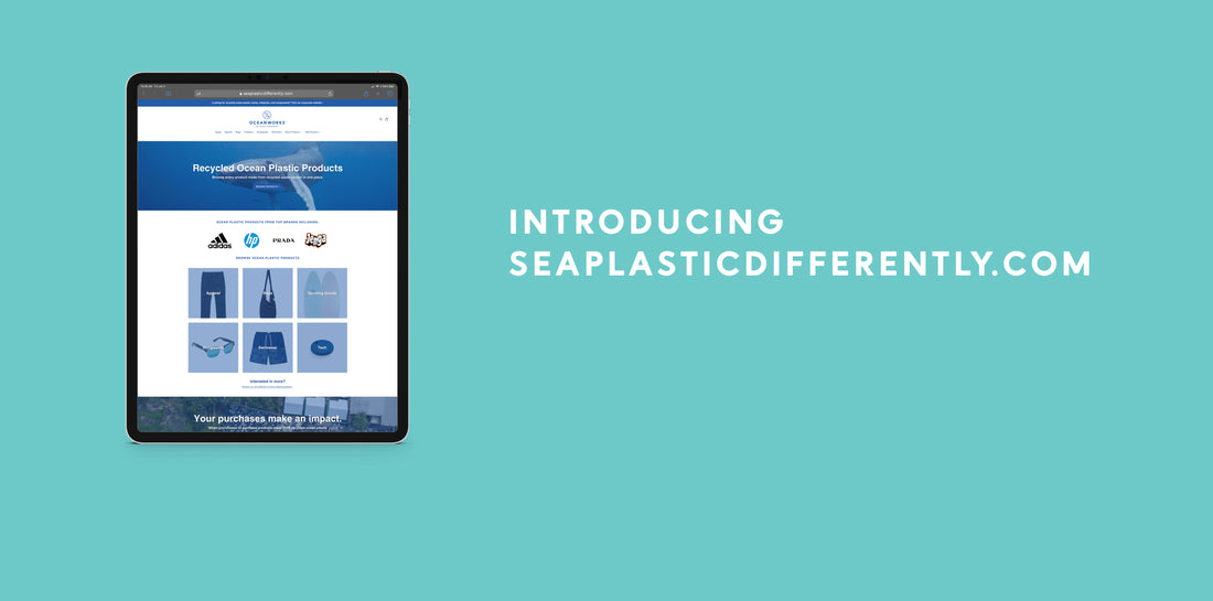 Memperkenalkan SeaPlasticDifferently.com!