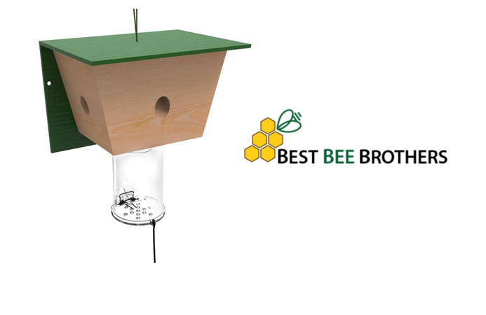 Membuat Sakelar Oceanworks Menampilkan Bee Brothers Terbaik