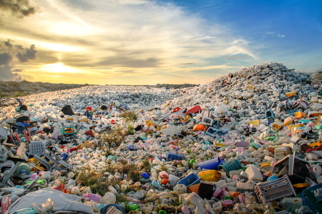 Apa saja jenis plastik yang paling banyak didaur ulang?