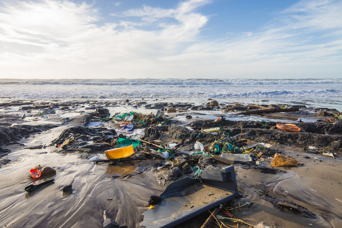 Dari mana plastik laut berasal?